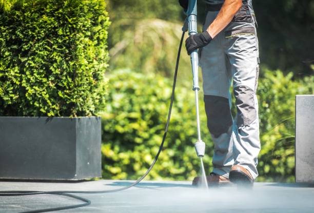Best Warehouse Cleaning  in Louise, TX